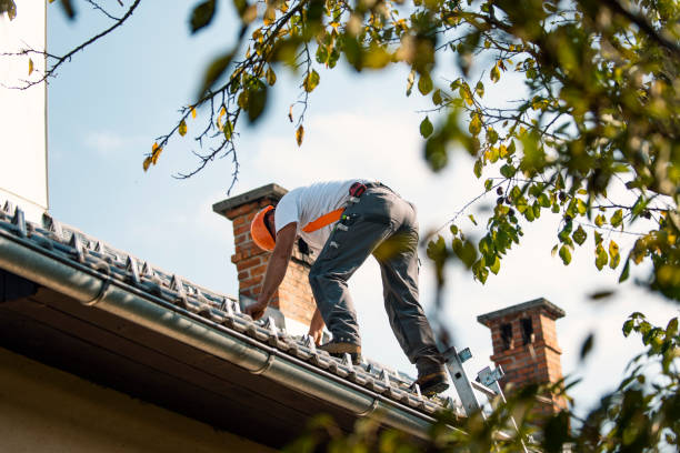 Best Roof Repair Specialists  in St Johns, MI
