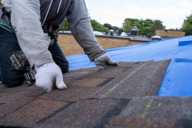 Best Roofing Contractor Near Me  in St Johns, MI