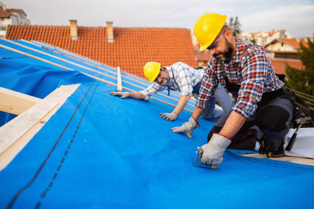 Best Residential Roofing Contractor  in St Johns, MI