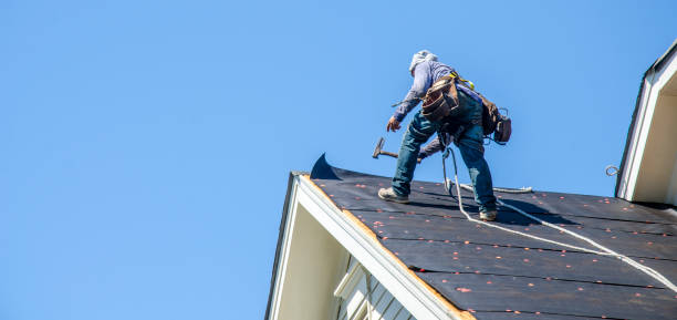 Best Flat Roof Repair Services  in St Johns, MI